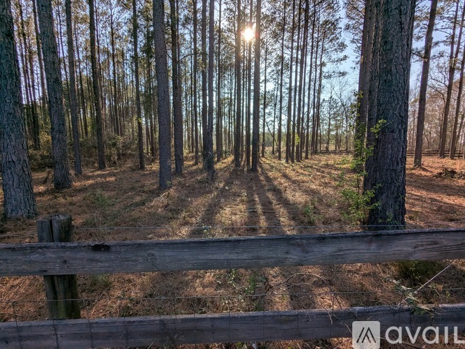 A forest with a wooden fence in the foreground.