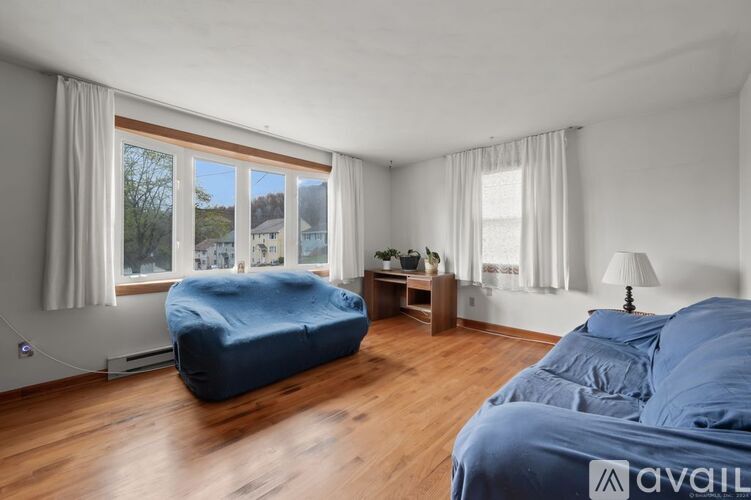 A room with two windows and a carpeted floor.