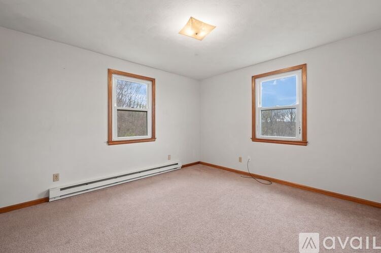 A room with two windows and a carpeted floor.