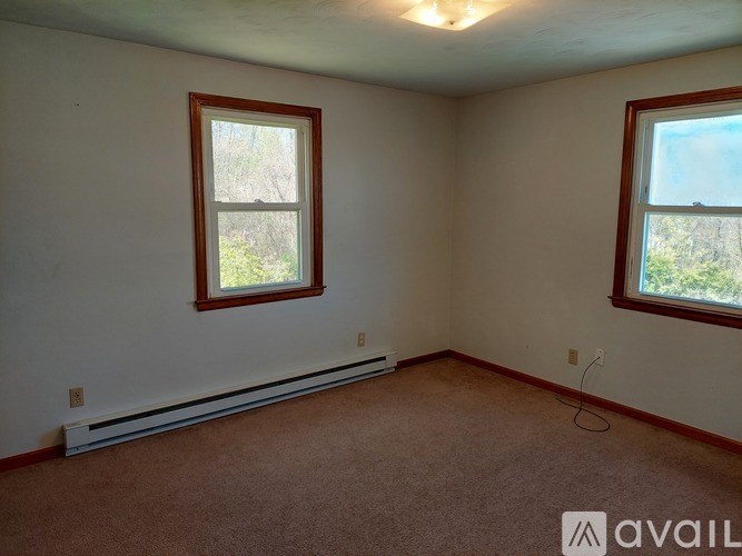 A room with two windows and a carpeted floor.