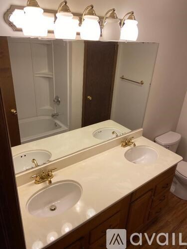 A bathroom with a vanity and a mirror.