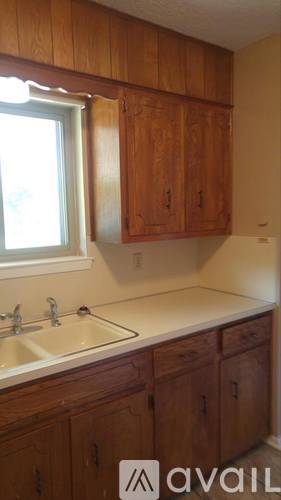 A kitchen with wooden cabinets and a window.