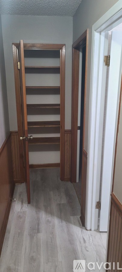 A wooden closet with shelves and a white door.