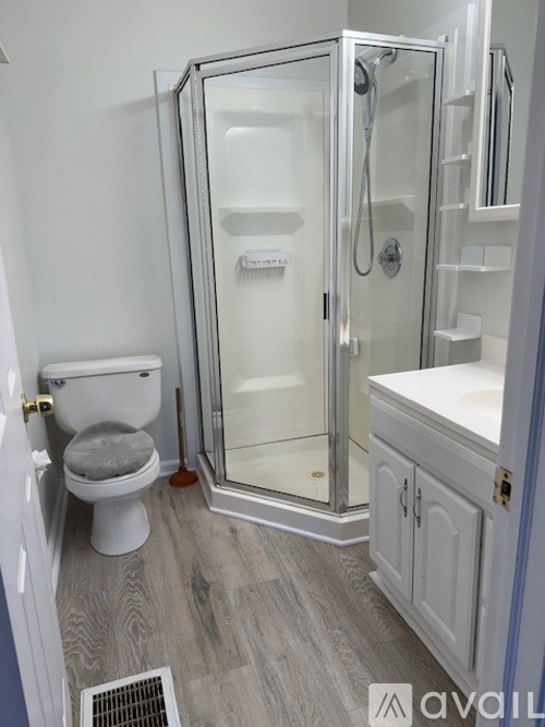 A bathroom with a toilet, sink, and walk-in shower.