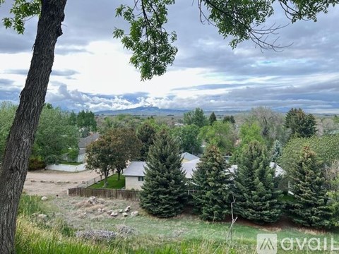 A tree in the foreground with a house and trees in the background.