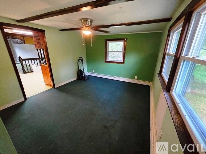 A room with green walls and a black floor.
