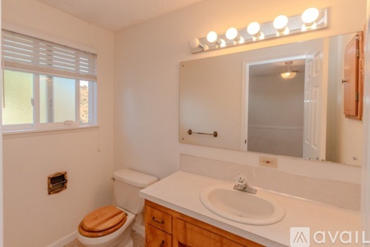 A bathroom with a toilet, sink, and mirror.