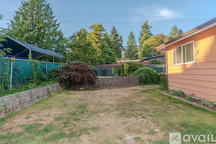 A backyard with a fence, a small tree, and a house.