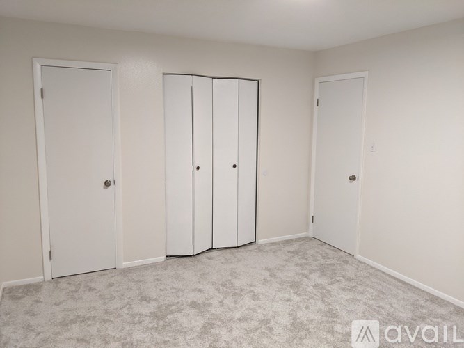 A room with three doors and a carpeted floor.