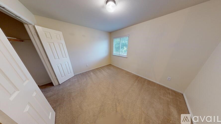 A backyard with a fence and a shed.