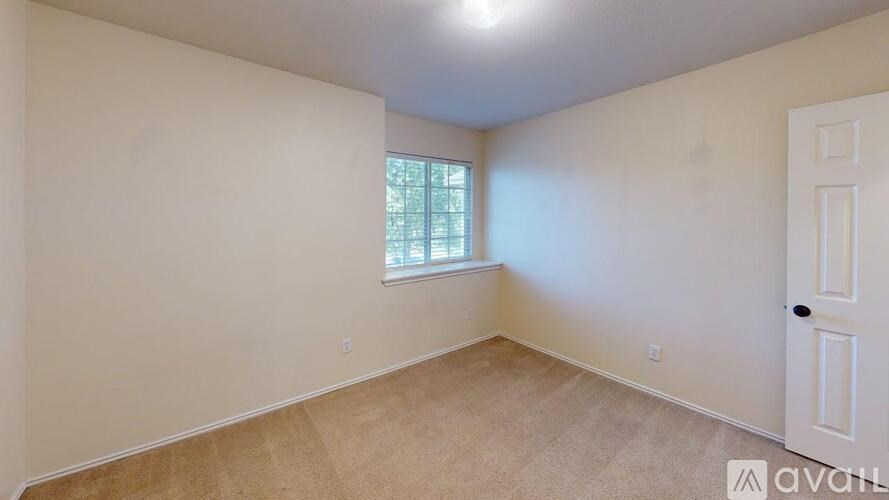 A room with a carpeted floor and a window letting in natural light.