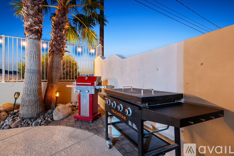 A barbecue grill is set up on a patio with a palm tree in the background.