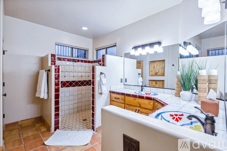 A bathroom with a red and white tiled shower area.