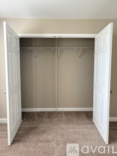 A white closet with a carpeted floor and a white door.