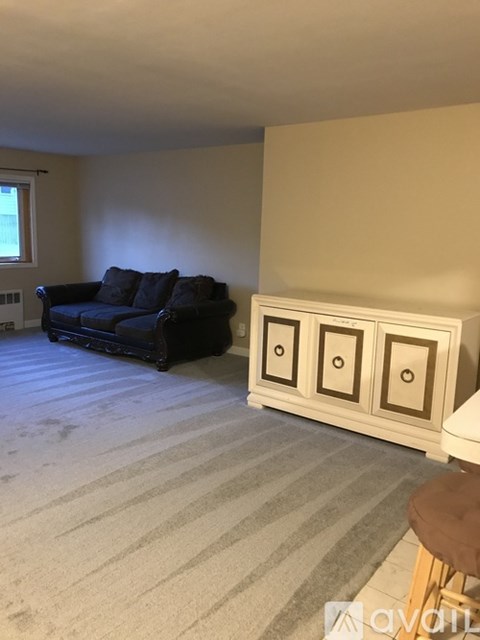 A living room with a black couch and a white cabinet.