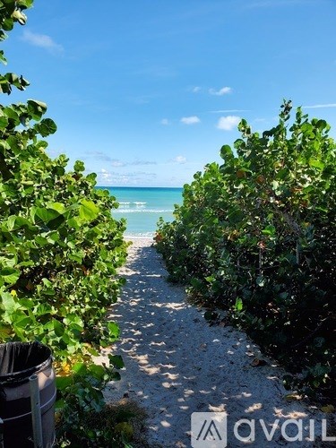 A beach scene with a path leading to the ocean.