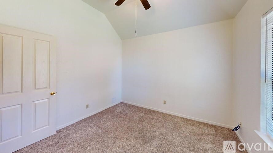 A room with a carpeted floor and a ceiling fan.