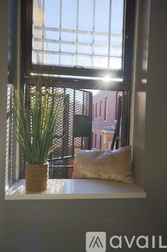 A window with a plant and pillow on the windowsill.