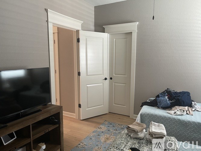 A bedroom with a bed, a television, and a rug.