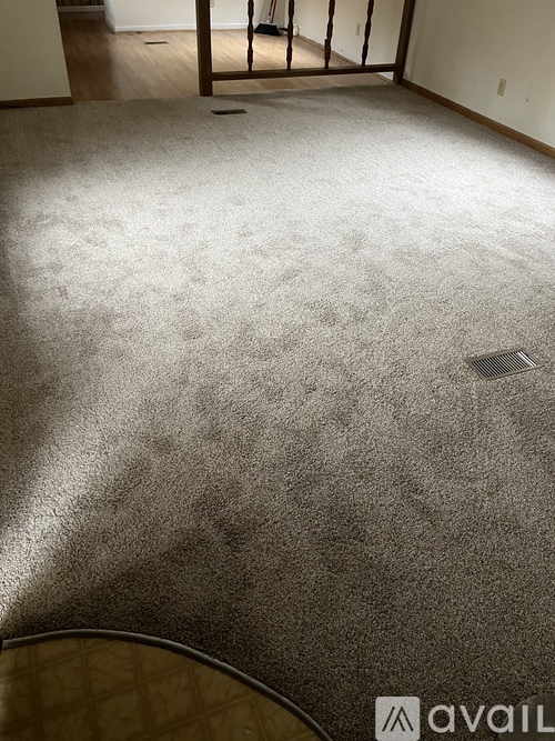 A room with a carpet and a drain in the floor.
