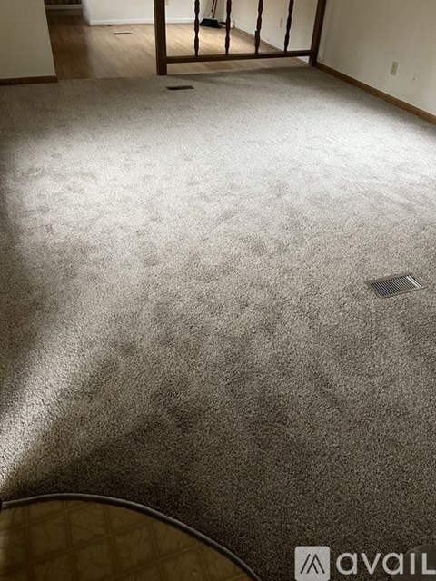 A room with a carpet and a drain in the floor.
