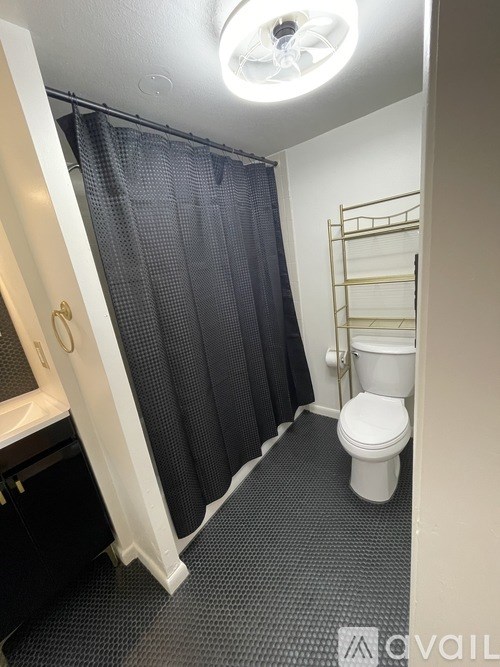 A bathroom with a toilet, sink, and shower curtain.