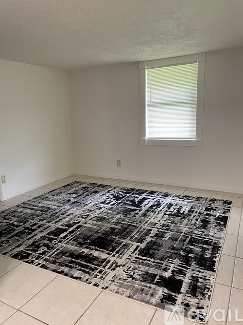 A room with a black and white rug on the floor.