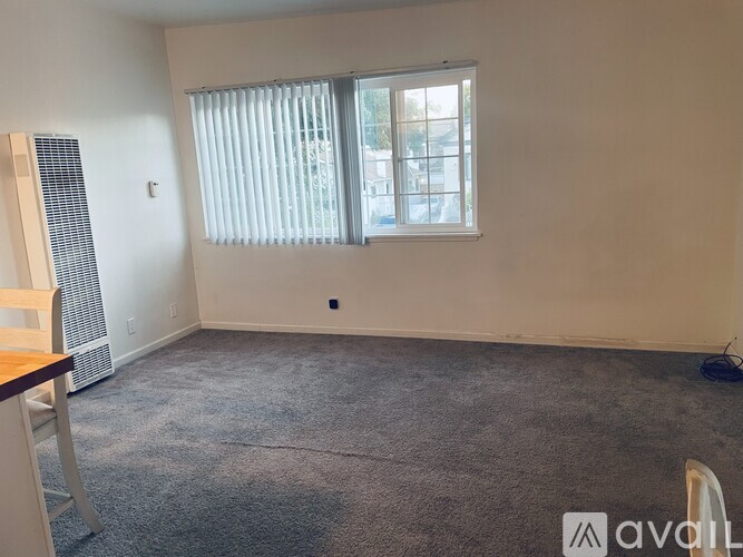 A room with a carpeted floor, a window with blinds, and a wooden chair.