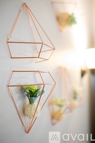 Three copper wire geometric planters with plants inside.