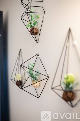 Three hanging glass terrariums with plants inside.