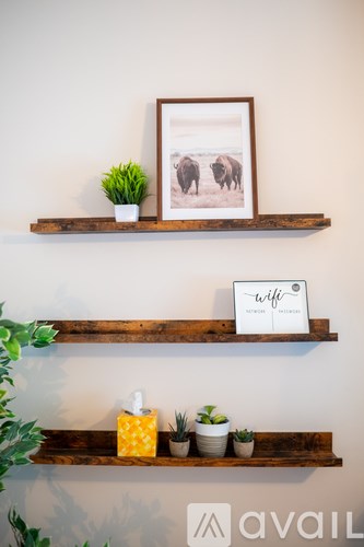 A shelf with a picture of elephants, a wifi sign, and some plants.
