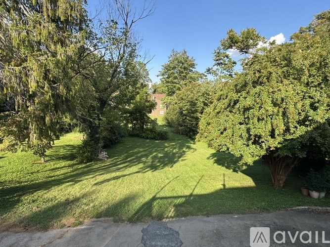 A lush green yard with a pathway and trees.