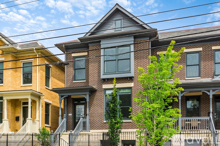 A row of houses with a tree in front of them.