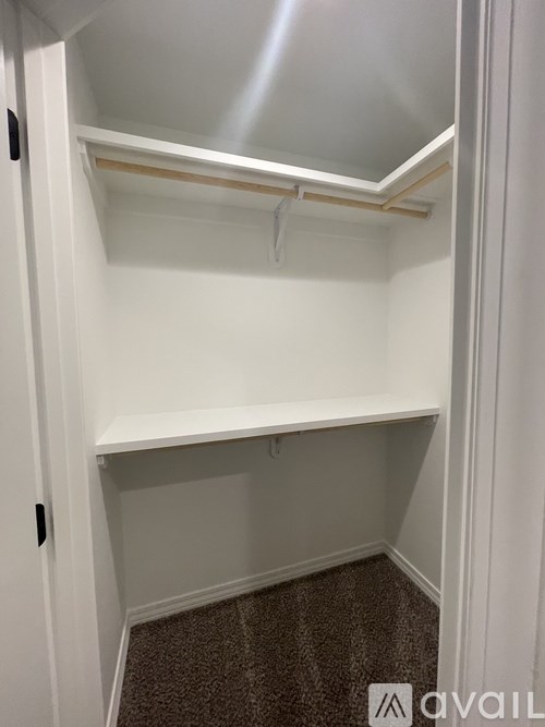 A white closet with a shelf and a carpeted floor.