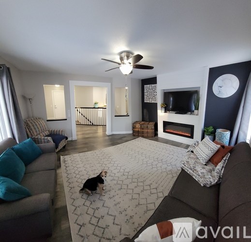 A dog is sitting on a patterned rug in a living room.