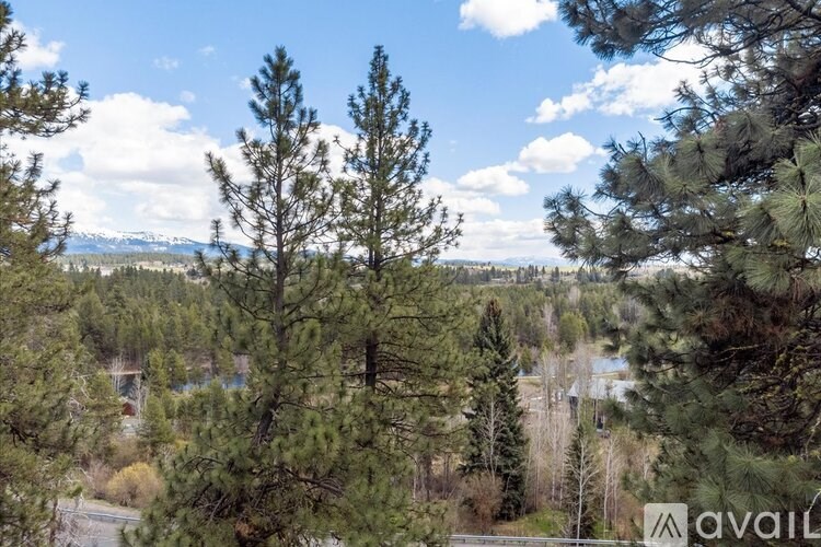 A view of a forested area with a mountain range in the distance.