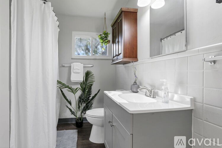 A bathroom with a white sink, toilet, and a potted plant.