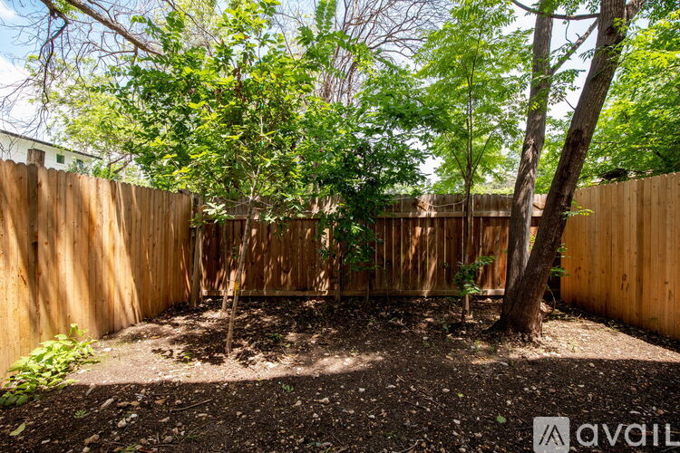 A backyard with a wooden fence and a tree.