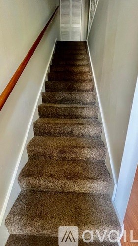 A staircase with a carpeted runner and wooden handrail.