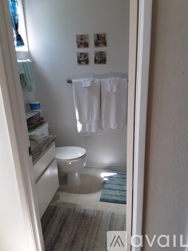 A bathroom with a toilet, a towel rack with two white towels, and a rug on the floor.