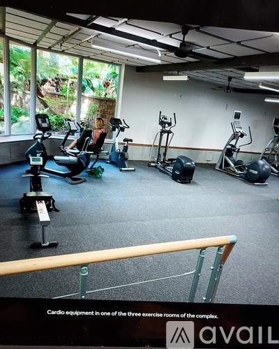 A gym with cardio equipment and a window showing greenery outside.