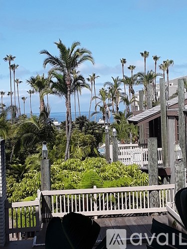 A beautiful view of a palm tree lined beach with a house in the background.