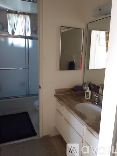 A bathroom with a sink, mirror, and a window.