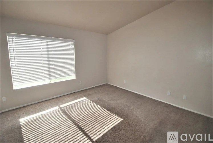 A room with a carpet and a window with blinds.