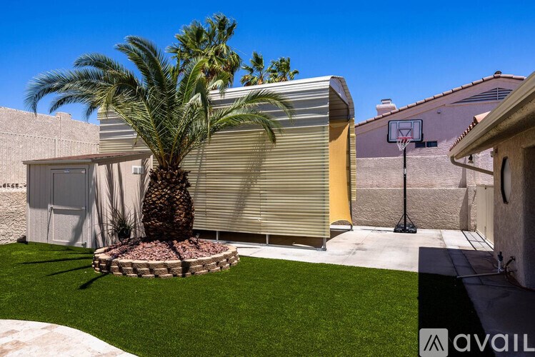 A palm tree is in a small garden in front of a house.