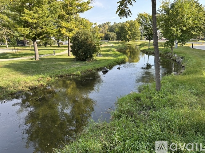 A small stream flows through a grassy park with trees on the sides.