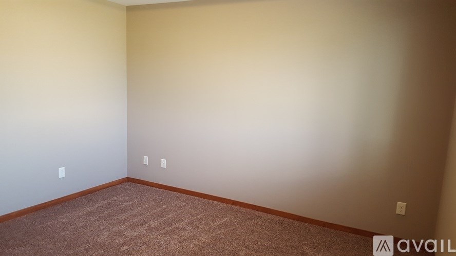 A room with carpeted floor and two switches on the wall.