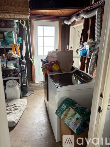 A kitchen with a dishwasher and a window.