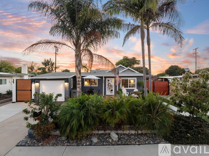 A house with a front yard and palm trees.