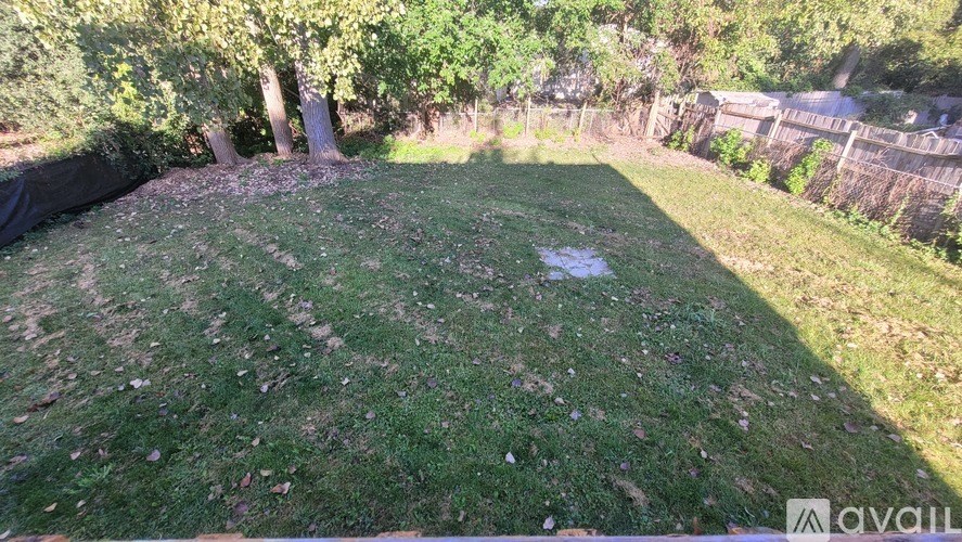 A backyard with a green lawn and trees.